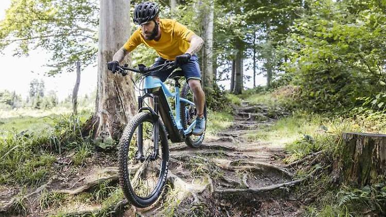 Power und Reichweite sind bei E-Mountainbikes besonders gefragt.