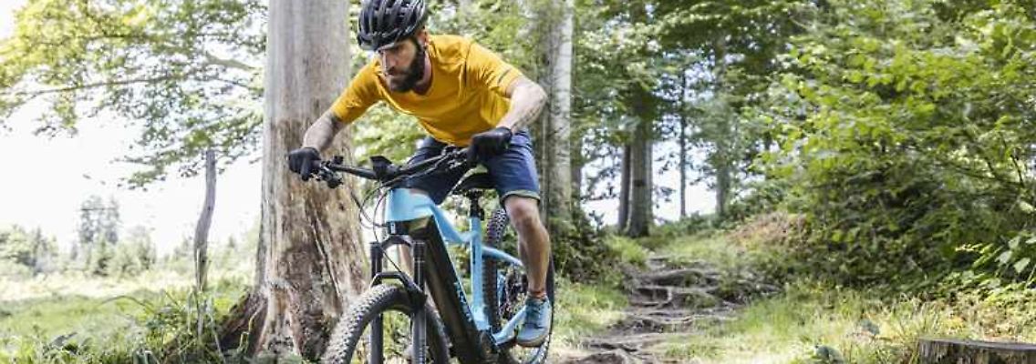 mountainbike.jpg