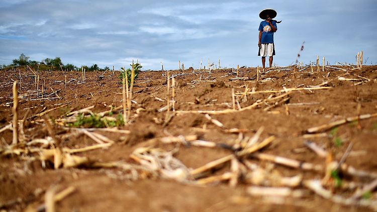 El Nino ist ein komplexes Wetterphänomen, das alle zwei bis drei Jahre in unregelmäßigen Abständen auftritt. Es löst globale Katastrophen aus: Hurrikane, Überschwemmungen oder Dürre, wie hier auf den Philippinen, 2016. Dabei werden ganze Landstriche zerstört und Tausende von Menschen verlieren ihr Leben.
