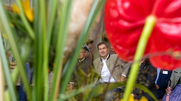 Ein bunter Pressetermin: Söder beim Auftakt der Hopfenernte in Bayern. 