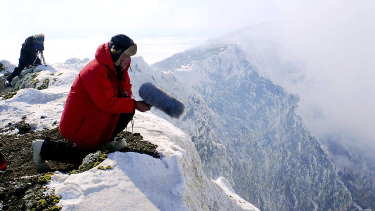 Werner Herzog in der Antarktis - seine Dokumentation "Encounters at the End of the World" war für einen Oscar nominiert.