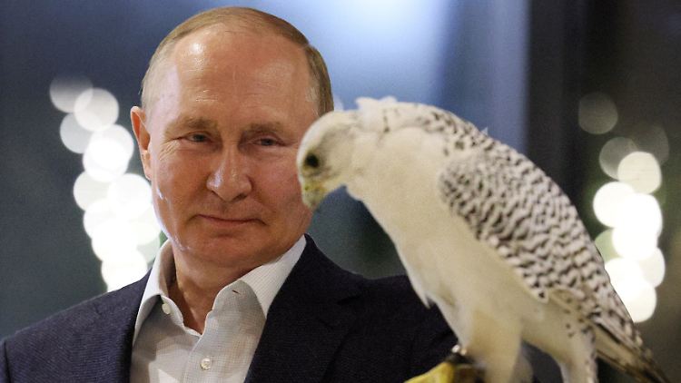 Symbol des Krieges: Kremlchef Putin mit einem Falken auf dem Arm.