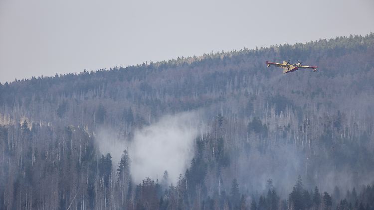 Zwei Löschflugzeuge und sieben Hubschrauber sind im Einsatz.