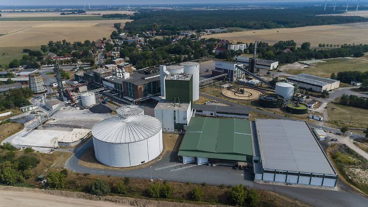 Die 18 Zuckerfabriken der vier beteiligten Unternehmen in Deutschland werden zum größeren Teil mit Erdgas betrieben.