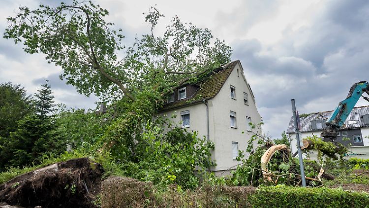Aufräumarbeiten nach dem Tornado in Lippstadt. Ein Baum war auf ein Wohnhaus gestürzt.