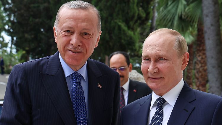 Der türkische und der russische Präsident auf einem Treffen im August in Sotschi. 