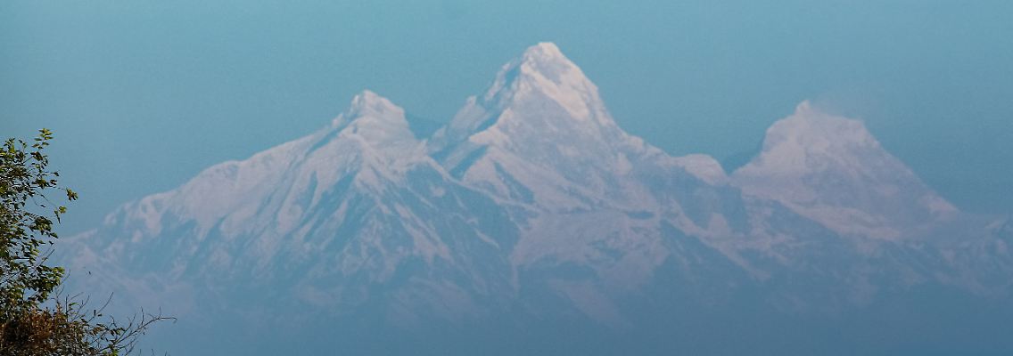 264520783.jpg