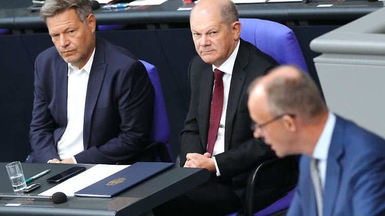 Habeck und Scholz lauschen wenig vergnügt dem Oppositionsführer.