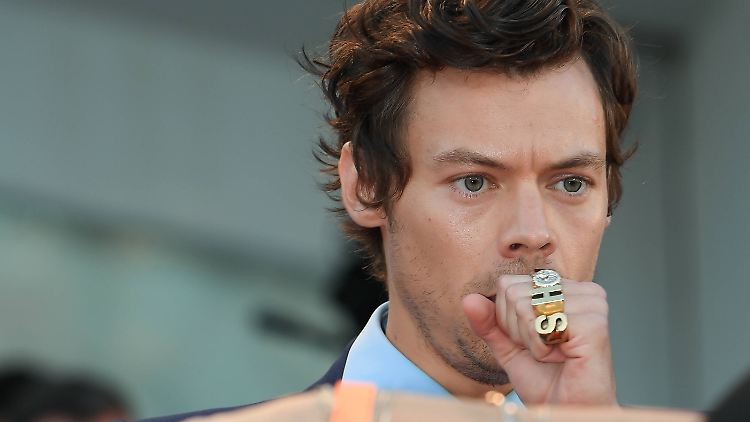 Harry Styles ist sowohl als Musiker als auch als Schauspieler aktiv.