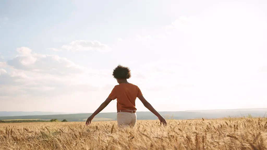 65a86a4b1b5f12531641ce1ba0d04e60