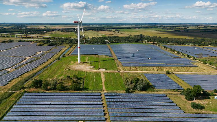 In der EU müssen auch in den nächsten Jahren noch viele Solarparks entstehen, um unabhängiger vom Gas zu werden.
