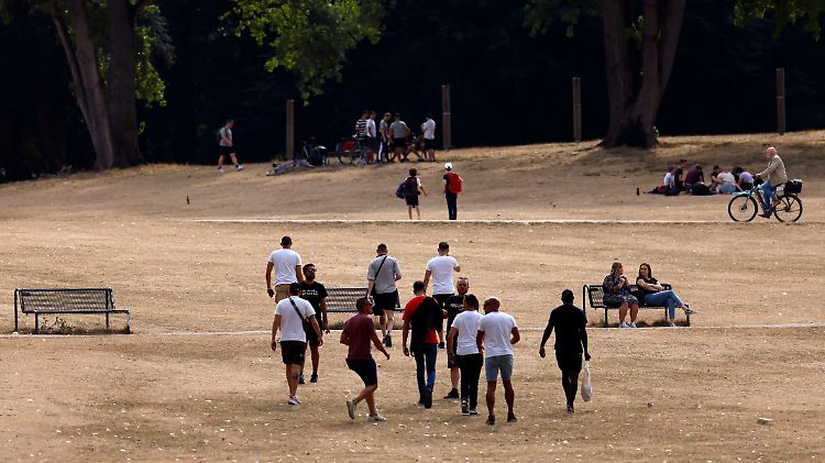 Parkbesucher auf verdorrtem Rasen in Köln.