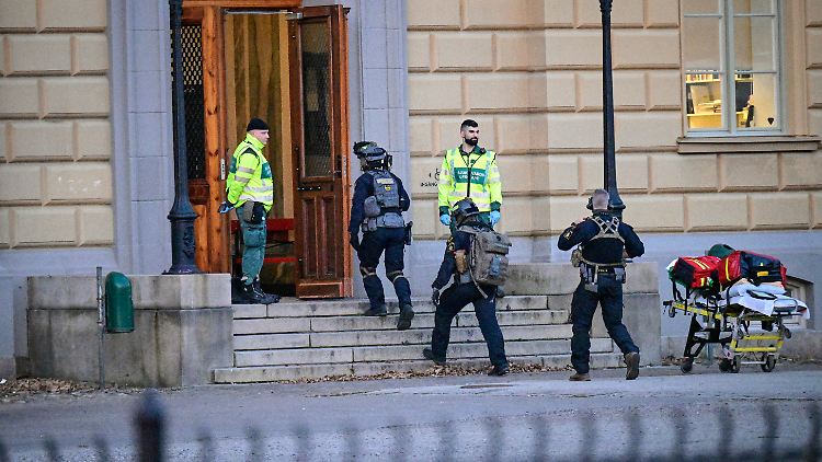 Der 18-Jährige selbst sei nach dem Urteil traurig und geschockt, sagte sein Verteidiger Anders Elison der schwedischen Nachrichtenagentur TT.