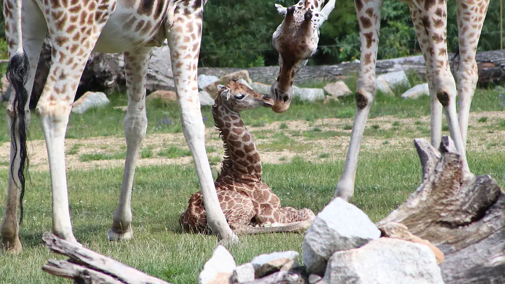 3b824bb9d162bb4d45f5098ed4666f5b