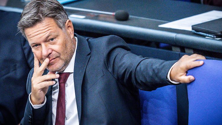 Robert Habeck will in Brüssel bei seinen Amtskollegen für eine neue Praxis bei der Festlegung des Strompreises werben.