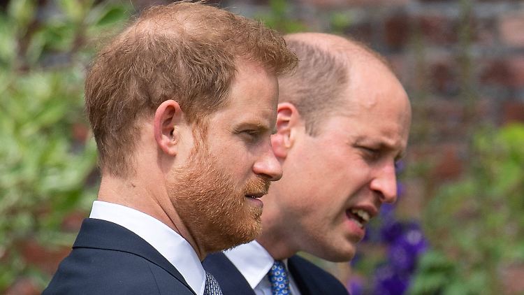 Harry (l) und William haben ihren Onkel verloren.