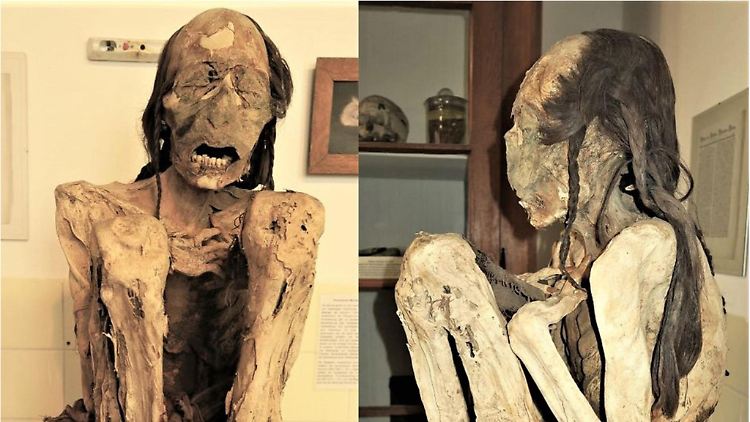 Forscher untersuchten südamerikanische Mumien, die seit dem späten 19. Jahrhundert in europäischen Museen aufbewahrt werden.