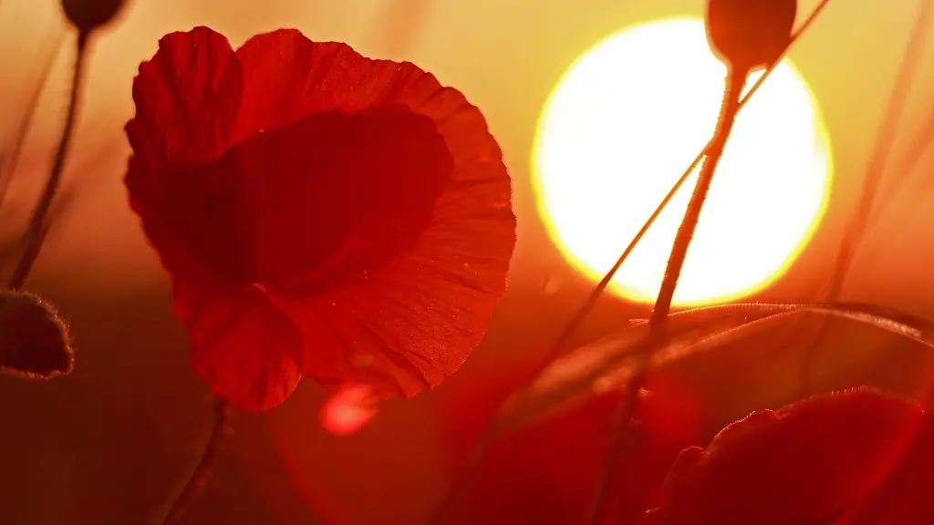 11dd32fbc82fbb8856dd56f06c8c3c3e