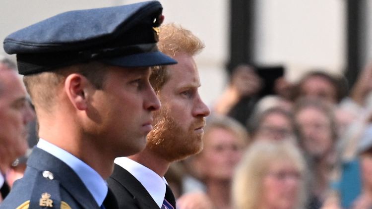 Die Brüder William und Harry schritten Seite an Seite - Harry jedoch nicht in Uniform.