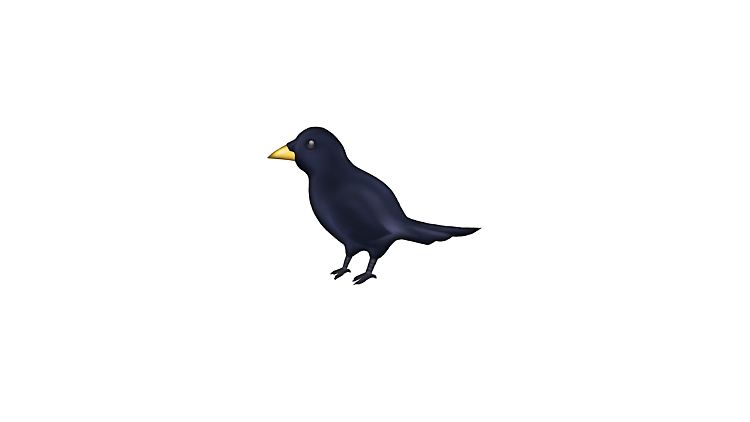 Bei diesem Symbol (Black Bird) kann es sich um eine Amsel (blackbird) handeln, es kann aber auch irgendein anderer schwarzer Vogel sein.