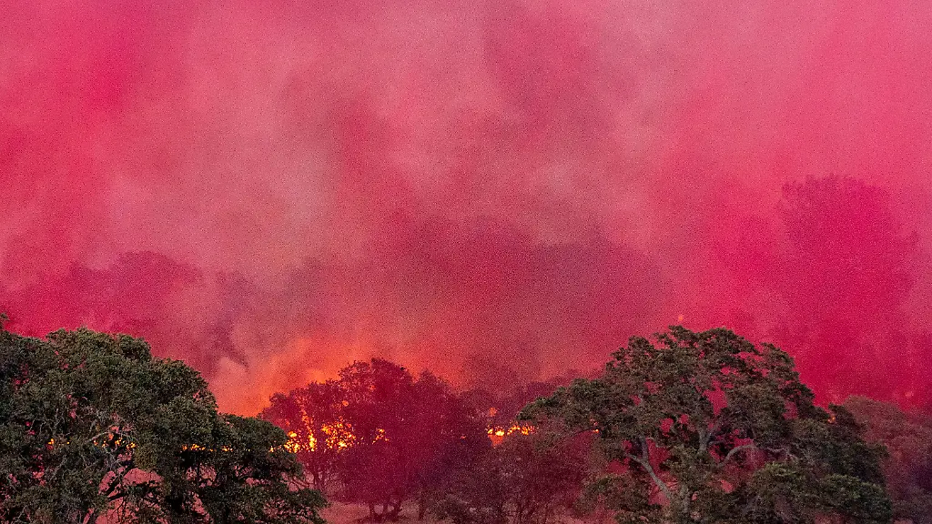 0732f2941d43876741e7d3574a65aba1