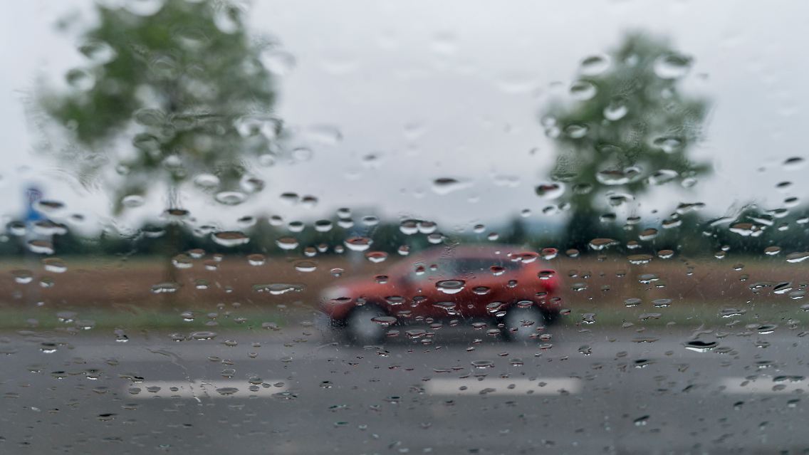 315431447.jpg