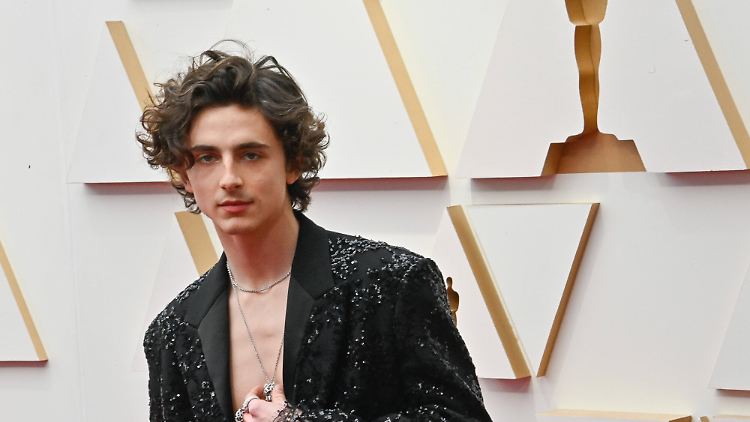 Schillert in Hollywood: Timothée Chalamet.