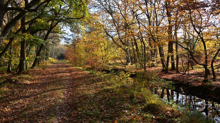 Ab Mittwoch wird es vor allem im Süden Deutschlands sonnig.