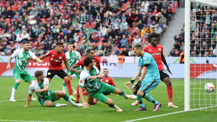 Lukas Hradecky sucht den Ball, der längst im Netz zappelt.