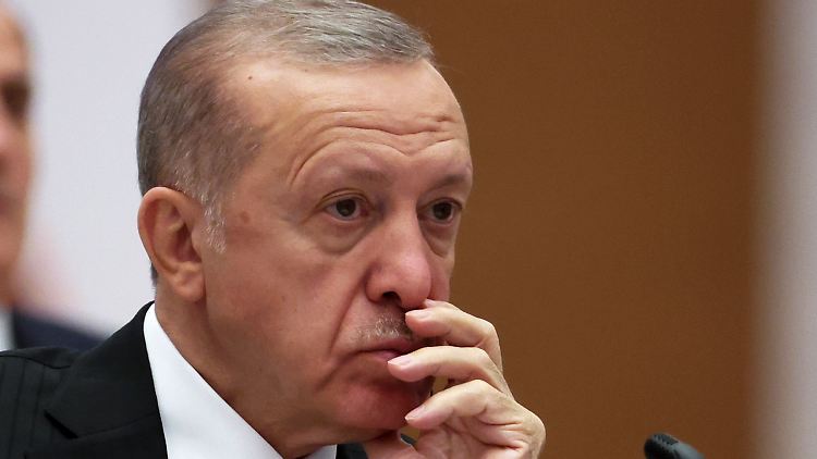 "Wie lange lässt sich die NATO noch von Erdogan auf der Nase herumtanzen?", fragt der Grünen-Politiker Trittin. 