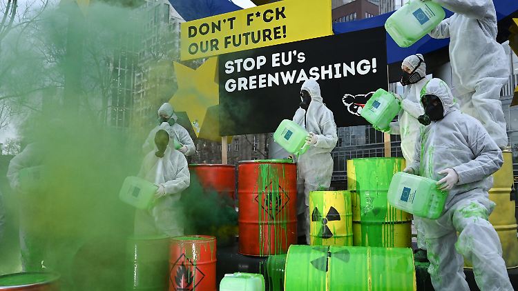 Aktivisten des "Koala Kollektivs" demonstrierten schon Anfang des Jahres gegen Greenwashing von Atomenergie und Erdgas.