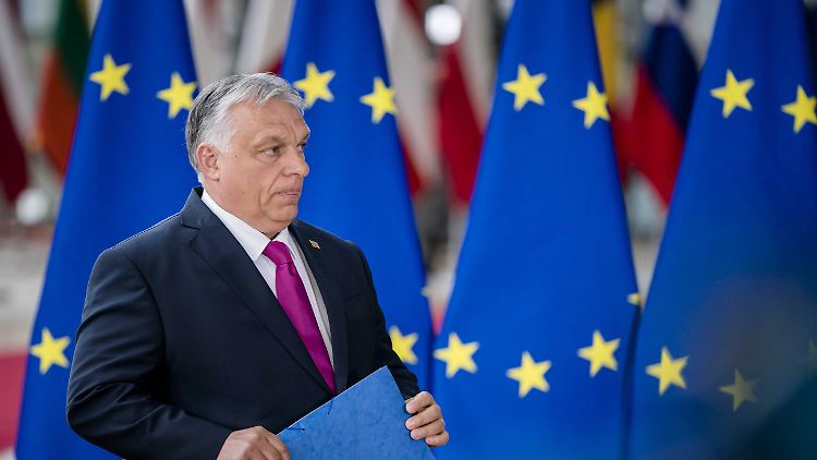 Orban wird vorgeworfen, ganze Wirtschaftssektoren mit Freunden und Verwandten besetzt zu haben.