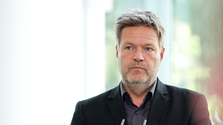 Habeck hege "finanzverfassungsrechtliche Zweifel", heißt es aus grünen Kreisen.
