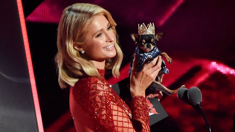 Ja, sie haben wirklich ein ganz besonderes Verhältnis: Paris Hilton und "Diamond Baby".
