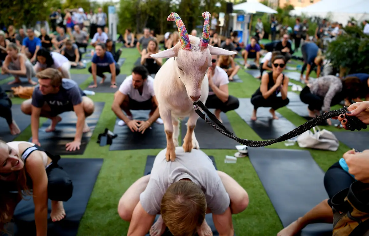 7592220bde86dd2456f261e5b3aad109