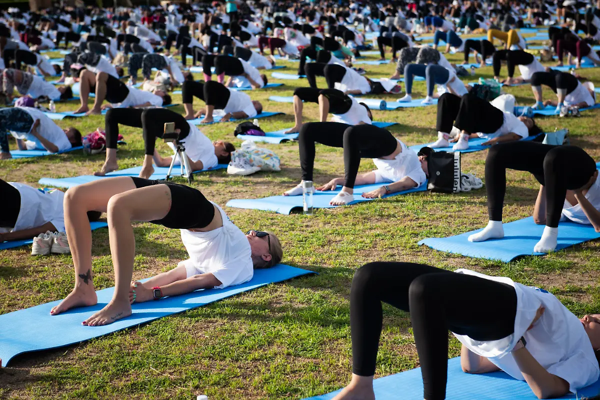 e3fa4deea5c6e18e55e8050d6f96d18b