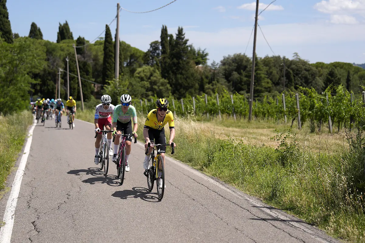 d50bd211a6dc8223e8308f567a7e5577