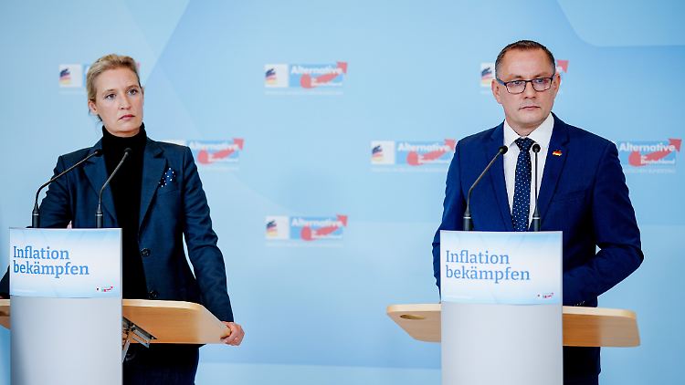 Alice Weidel und Tino Chrupalla wollen von der Reise nichts gewusst haben.