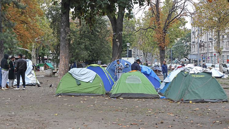 Zelte in einem Park in Belgrad. (Archivbild)