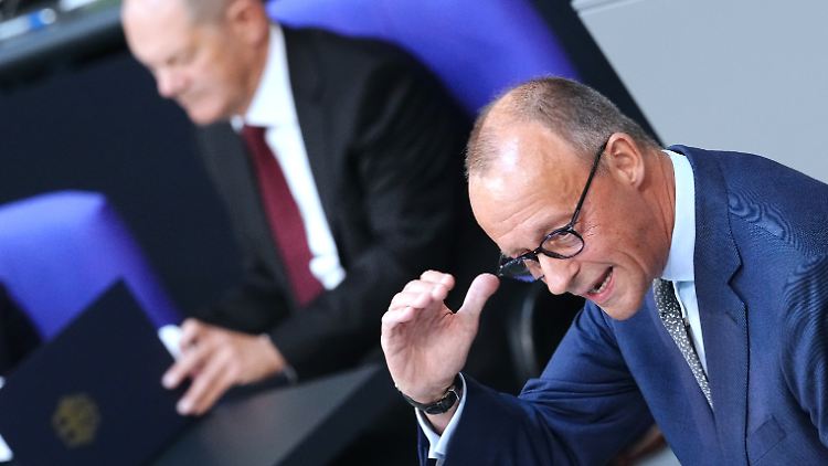 Friedrich Merz im Bundestag. Der Antrag der Unionsfraktion wird am Donnerstag debattiert.