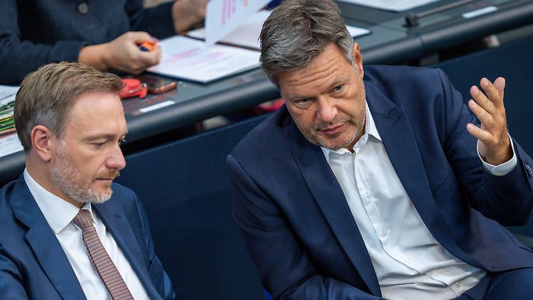 Reden miteinander, aber nicht immer rechtzeitig: Lindner und Habeck.