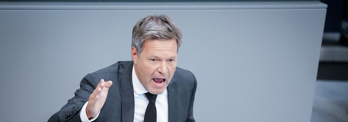 "Was hören wir von der Opposition...: 'Die Gasumlage muss weg.' Sind wir denn hier im Fußballstadion oder ist das eine Demo?", stellt Habeck rhetorisch in den Raum.