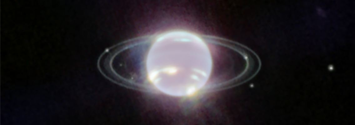 316647401.jpg