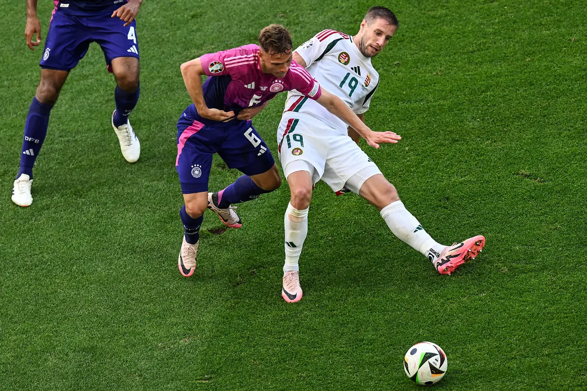 733439add75e2efb2ee061533573ed13