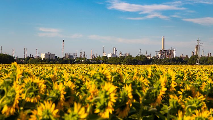 Die chemisch-pharmazeutische Industrie ist mit einem Anteil von 15 Prozent am Gesamtverbrauch der größte Gasverbraucher in Deutschland. 