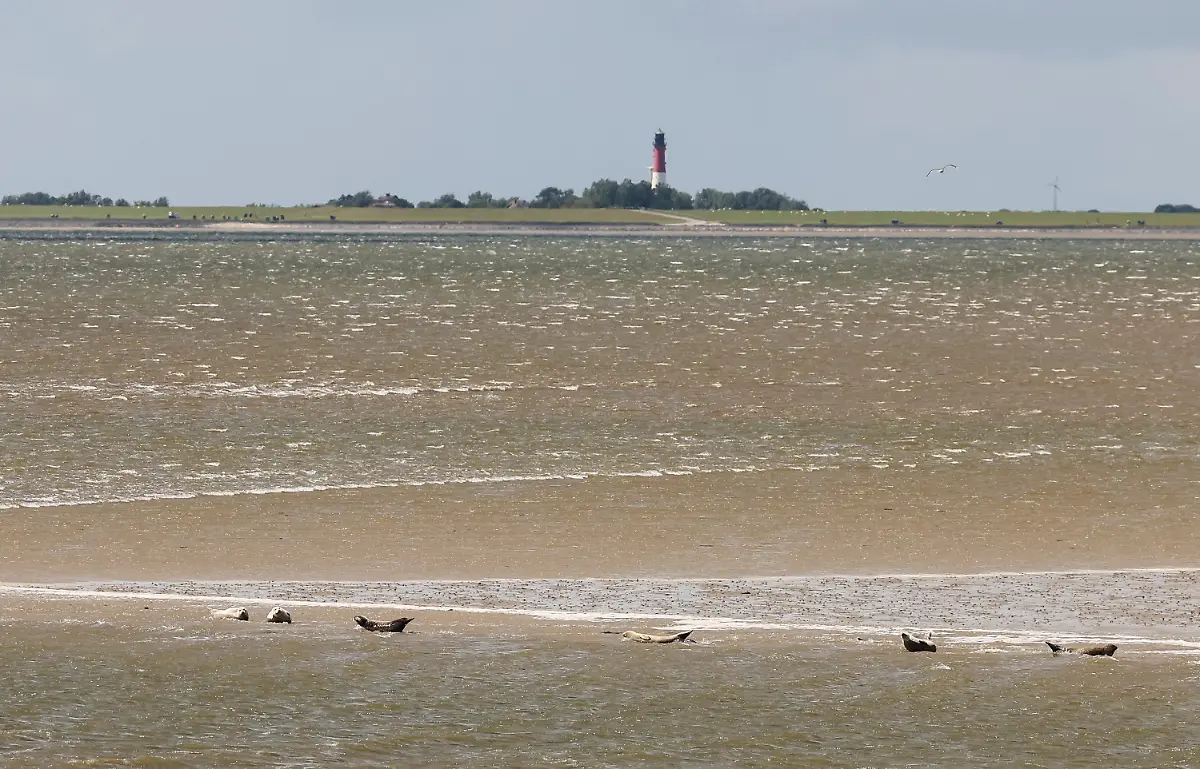 4fd47aaadf05f0e74d0c960def271b4c