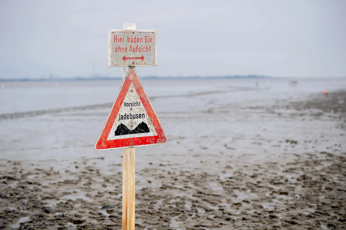 2a4447f539c8c016b8870b33ff8824cc