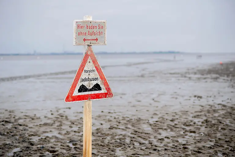 2a4447f539c8c016b8870b33ff8824cc