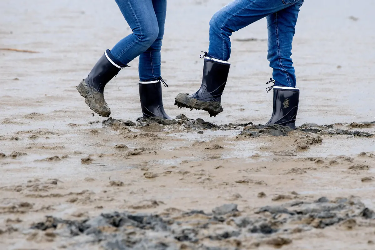 cea97c9d7854d6a3690cc61b2b036d42