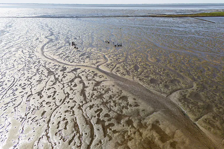 2c6bed9e5cb576f868fbf959ff19ba74